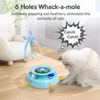 ORSDA Cat Toy, 3-in-1 Automatic Cat Toys for Indoor Cats,