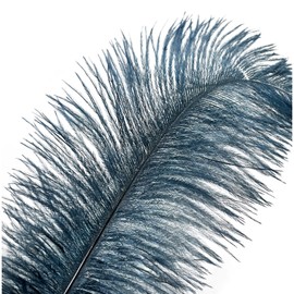 20 pcs Ostrich Feathers Centerpiece 12-14 inch for Wedding Home Party Decoration, DIY Craft-Turquise