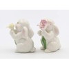 Appletree Appletree Designs Cosmos 10588 Salt & Pepper Shaker, 1
