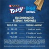 Purina Busy Bone Adult Dog Chew Bone Treats, Original -