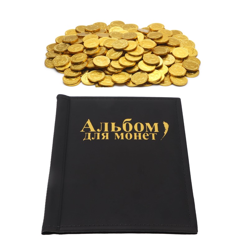 Coin Collecting Holder Album 250 Pockets Transparent PVC Thick Waterproof