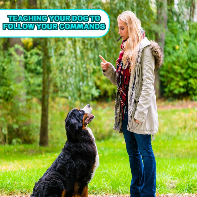 4 PCS Dog Whistles For Recall, Dog Training Whistle for