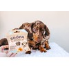 Soopa Banana & Pumpkin Puppy Healthy Bites 50gm