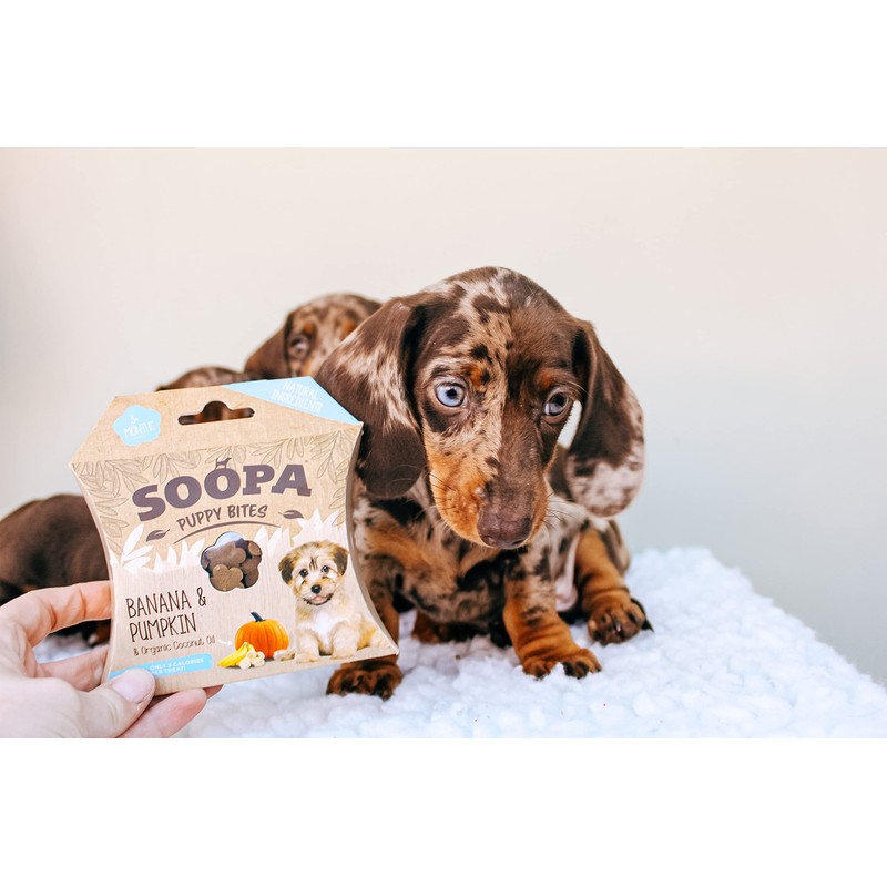 Soopa Banana & Pumpkin Puppy Healthy Bites 50gm