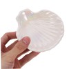 Ciieeo Ceramic Shell Shaped Jewelry Dish Trinket Holder for Rings