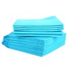 Levemolo 10Pcs Medium Disposable Pet Urine Pads Training Wee Pads