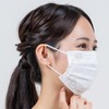 Adult Miffy Non-Woven Masks 30 Pack Box Mask