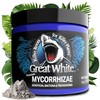 Great White Mycorrhizal Fungi 4 oz, Beneficial Bacteria for Plant