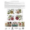 IOD Iron Orchid Designs Transfers - Ladies in Waiting