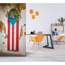 3D Door Decal Door of a Ruined House in San Juan Puerto Rico Door Stickers Removable Adhesive PVC Door Wall Mural Door Wallpaper Door Art for Home Decor 30.3" W x 78.7" H