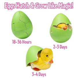 Easter Grow Pets For Kid Egg Hunt- 1 Pk- Hatch Surprise Animals That Expand 5-6x in Water- Bunny, Chick or Duck- Great Candy Alternative & Basket Stuffers- Make Your Next Scavenger Hunt Extra Special!