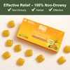 Al Taqwa Ginger with Honey Candy – 10 Pack (60