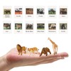 Farm Animal Flash Cards,12 Sets of Animal Figures for Toddlers