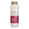 Shampoo Reestructurante Cabello Quimicamente Dañado 300ml Natura Lumina