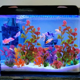 QUOZUO QUOZUO Aquarium Decorations Plants, 10pcs Colorful Fish Tank Plastic Plants Decoration for Aquariums, Fish Tank Accessories