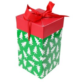 Iconikal 6-Inch Christmas Candles Gift Set, 6-Pack, Easy Fold Open Design, Bright Beautiful Styles