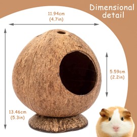 QMAAAYS Hamster House, Coconut Shell Bird House Small Pet Habitat, Tropical Style, 12 * 12 * 13.5CM