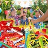 Ultimate Candy Variety Pack, 4 Pound Bulk Candy, Bulk Candy
