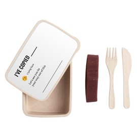 Fabulous Lunch Box Lunchbox mit Besteck, Weiß – I've Copied Work Office Email Funny Icon – 700 ml