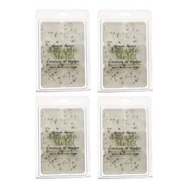 Swan Creek Citrus & Sage 5.25oz Drizzle Melts 4-Pack | Soy Wax Melts Herbal Fragrance for The Home | Citrus Scented Break Apart Soybean Wax | Made in The USA
