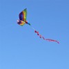 Kite 3D Parrot Kite Easy to Fly Beginner Kites for