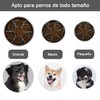 KOMPORY Plato para Perro Alimentación Lenta, Cuenco de Comida Lenta