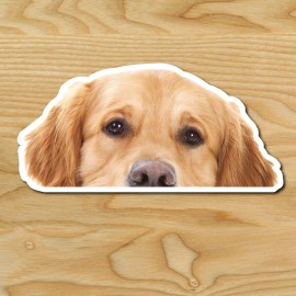 (1) Golden Retriever DOG Peeper Sticker Window Peep Decal Car Auto Puppy AKC NEW