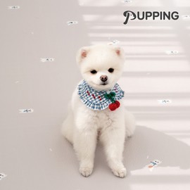 퍼핑 [Puffing] Pet Mat Corridor Type Breed Design (240X110X0.6cm)