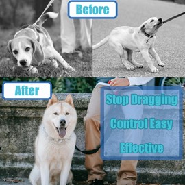 Dog Training Collar, Adjustable Dog Pinch Collar with Quick Release Buckle, No Pull Collar for Small Medium Large Dogs, Extra Link and Caps (S (Neck: 13"-17'' 2.25mm))