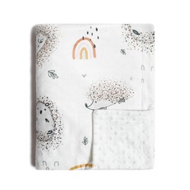 Baby Blanket, Newborn, Nursery Blanket, Children's Blanket, Fluffy, Nap Cover, Throw on Shoulder, Stroller, Super Soft Texture, Cute, Baby Shower, Present, Spring, Summer, Autumn, Winter, 29.5 x 43.3
