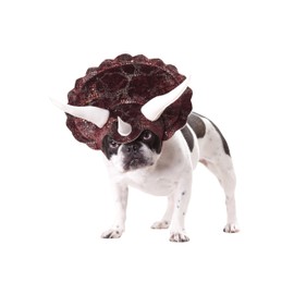 California Costumes Pet Triceratops Dog Costume Costume