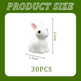 TVSVKWE 30 Pieces Of Small White Rabbit Ornaments, Mini Resin Ornaments, Cute Ornaments, Micro Landscape Ornaments, And Home Decoration Ornaments.