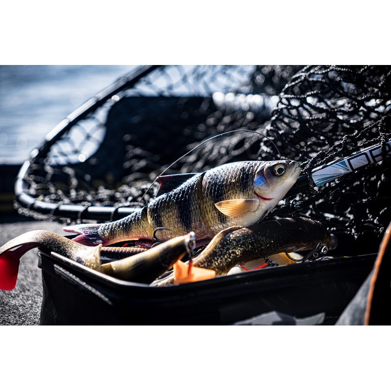 SAVAGE GEAR NEW 2021 PERCH 4D LINE THRU ROACH 25CM