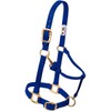Weaver Leather Original Adjustable Nylon Horse Halter, Average Horse, Lavender