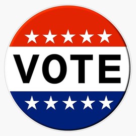 Vote in The 2020 Election Sticker Bumper Sticker Vinyl Decal 5"