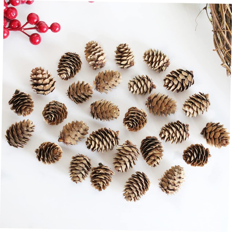 CAXUSD 100pcs Mini Pine Cone Decor Artificial Pine Cones for