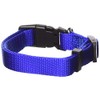 Petmate Adjustable Collar, 5/8 by 10 by 16-Inch, Blue