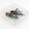 YAZHIDA Fly Fishing Flies, Simulated Insects, (Mole Cricket)