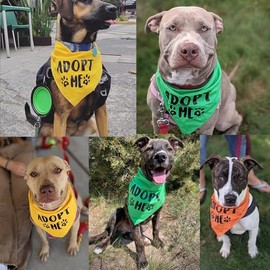 Adopt Me - Bandana para perros, Paquete de 3