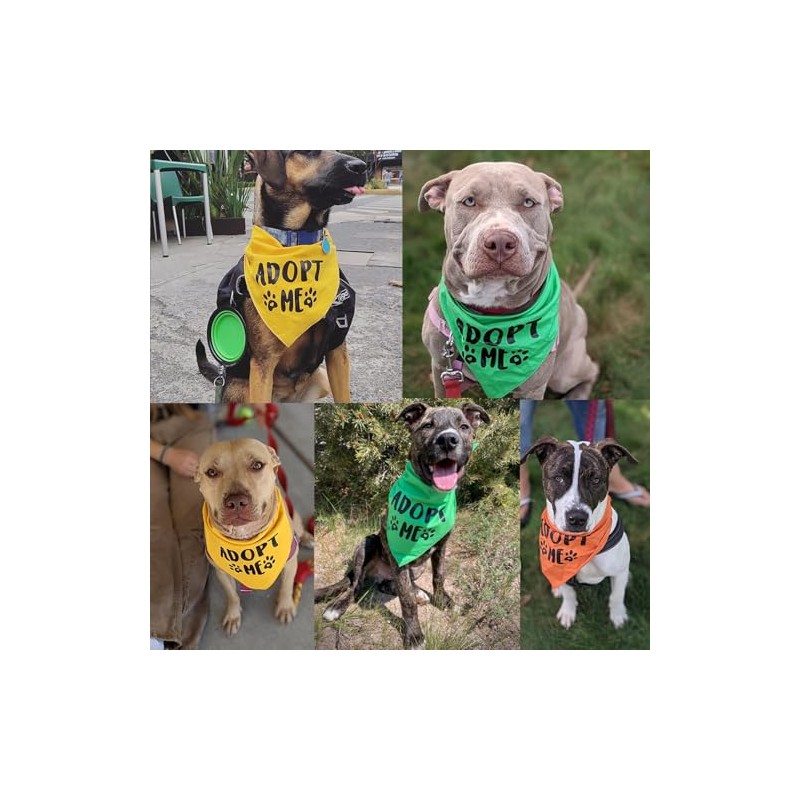 Adopt Me - Bandana para perros, Paquete de 3