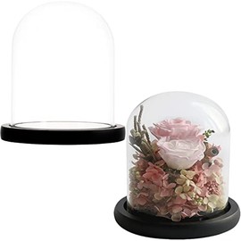 ZOOFOX Set of 2 Glass Dome Cloche with Black Wooden Base, 6" x 5" Decorative Bell Jar Display Dome for Plants, Fairy Lights, Photos, Succulents and Medals (Clear)