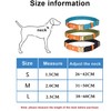 Haoyueer Nylon Dog Collar with Metal Safety Buckle, Adjustable Leather