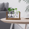 Fenteer Terrarium Planter Hydroponics Plant Holder with 3 Heart Shaped