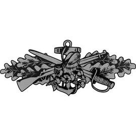 Seabee Combat Warfare (Silver) Clear Decal