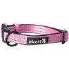 Alcott Adventure Collar for Dogs