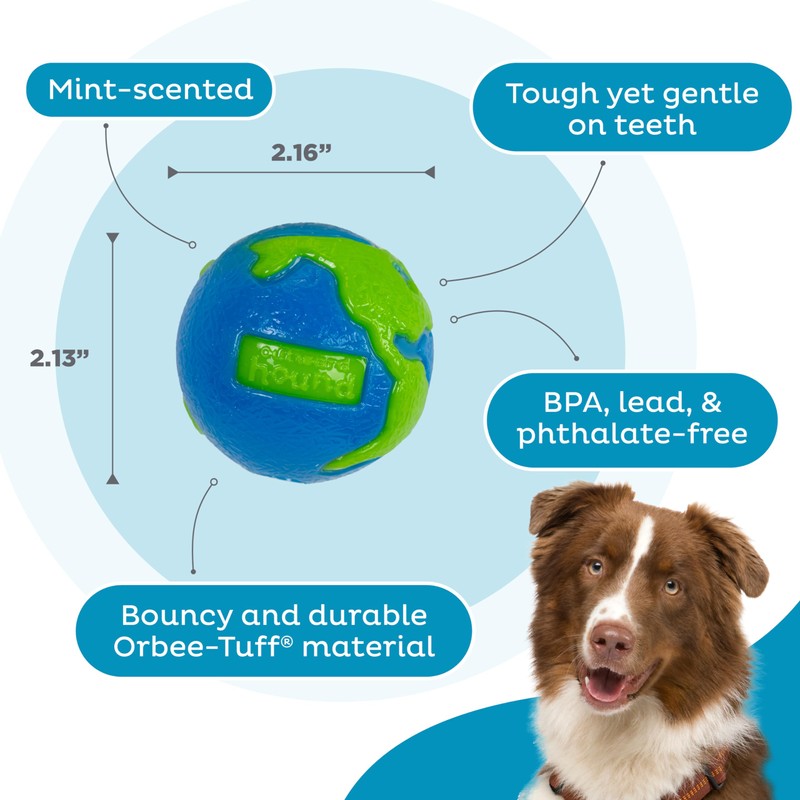 Outward Hound by Planet Dog Orbee-Tuff Planet Ball Blue/Green Treat-Dispensing