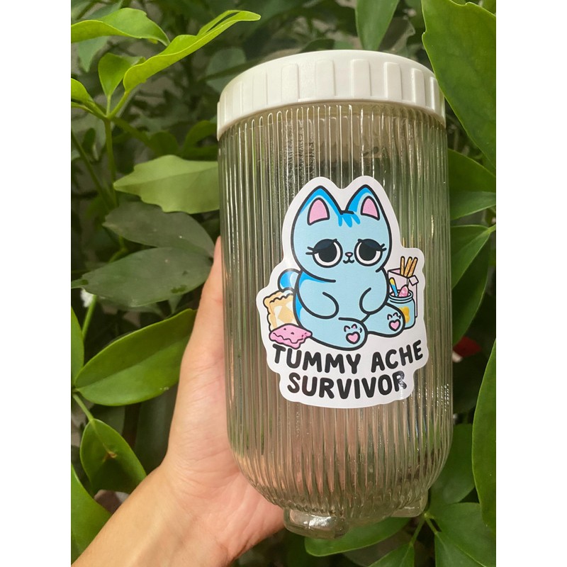 Pack 3" Tummy Ache Survivor Cute Cat Sticker Meme Funny