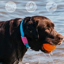 Geiomoo Silicone Case for Tile Pro (2024),(2022) Tracker, Soft Flexible Scratch Resistant Protective Cover with Carabiner (Luminous Green+Pink+Blue)