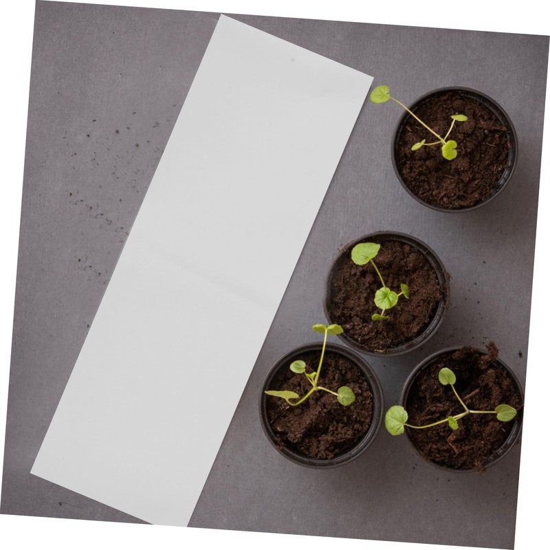 Outanaya Professional Germinating Paper 100 Pcs 54 x 19.5cm Moisturizing