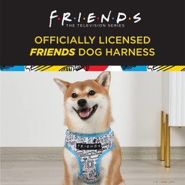 Friends TV Show City Doodle Dog Harness for Small Dogs (S) | Blue No-Pull Harness with D-Ring | Machine Washable Friends Merch